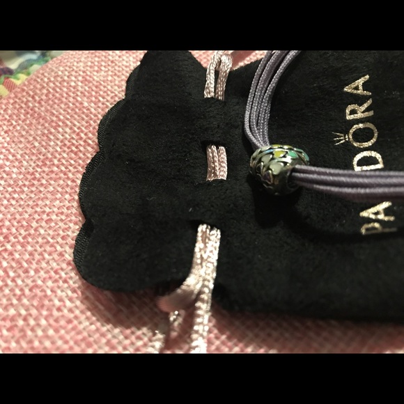 Authentic Retired pandora charm bracelet w charm - Picture 3 of 7
